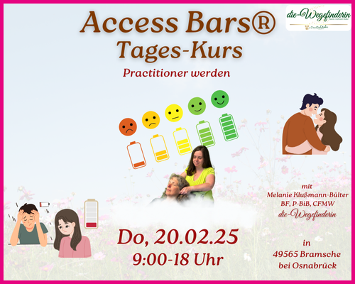 250220 Do WF Access Bars Ausbildungstag 500x400