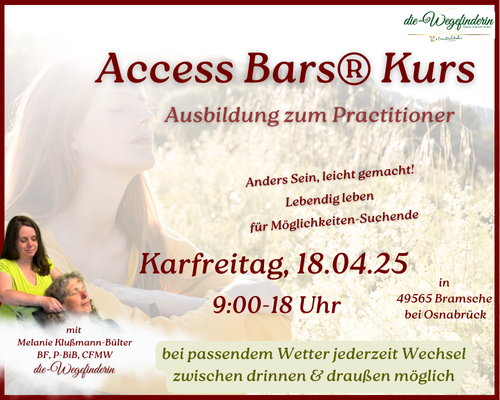 250418 Fr WF Access Bars Ausbildungstag 500x400