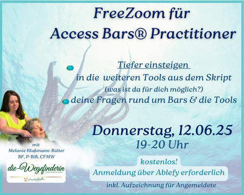 250612 Do FreeZoom AccessBars 500x400