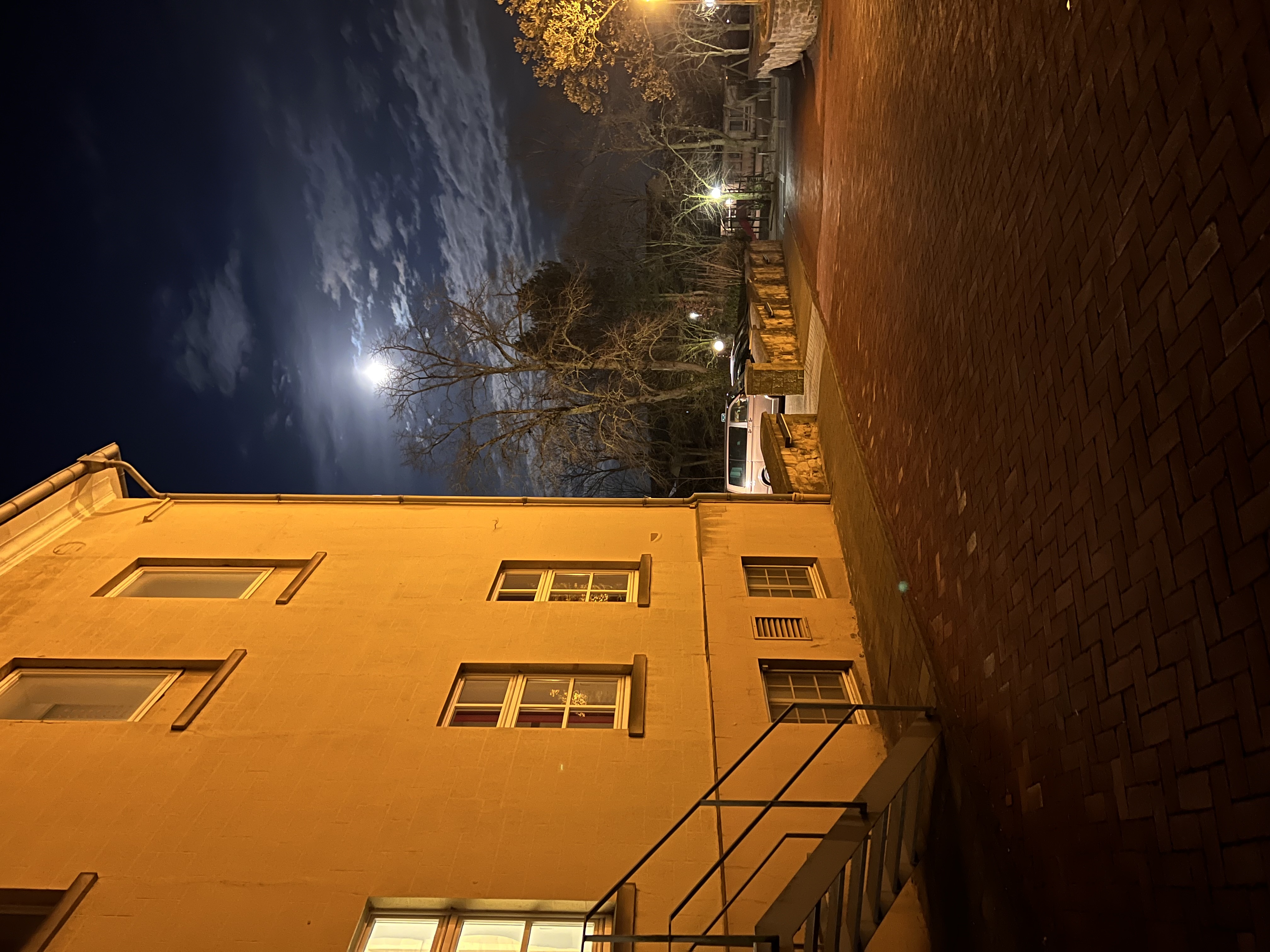 IMG_1486