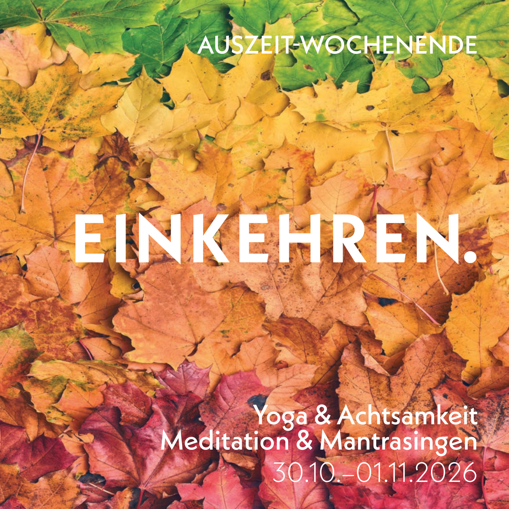 0acde66d-94c9-4356-9d68-3dce695fa976_einkehren_2026-1
