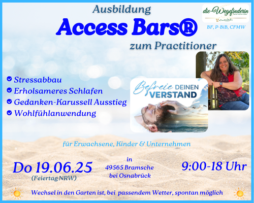 250619 Do WF AccessBars 500x400