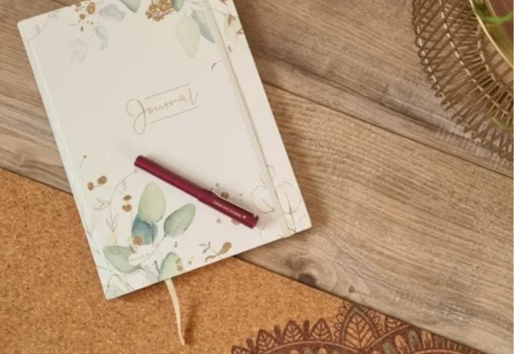 journaling2024-neupng-large-v1