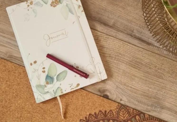 journaling2024-neupng-large-v1