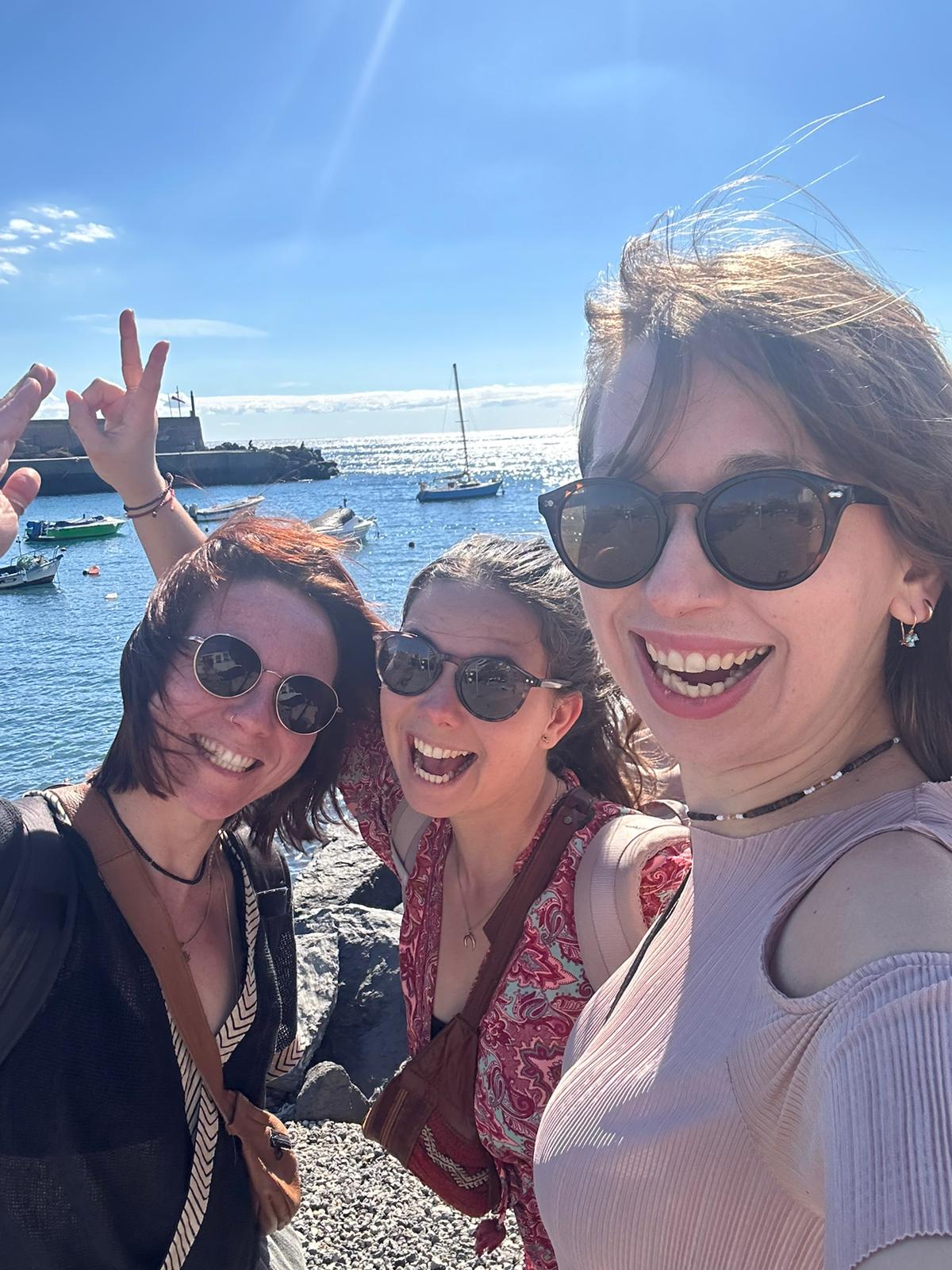 d35e552a-7044-40de-9e86-5861e44d7d98