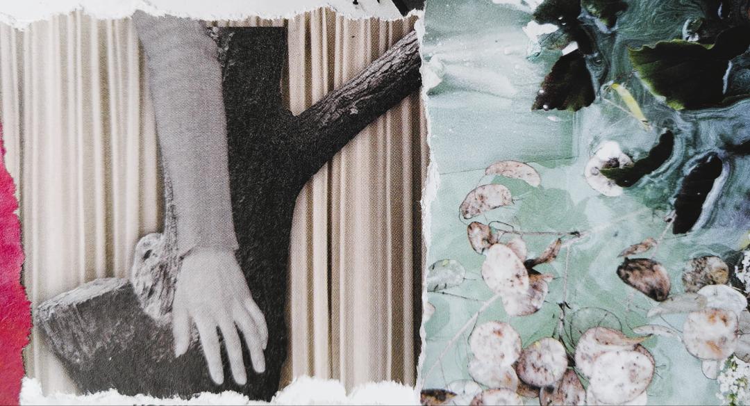 authentische bewegung-v1