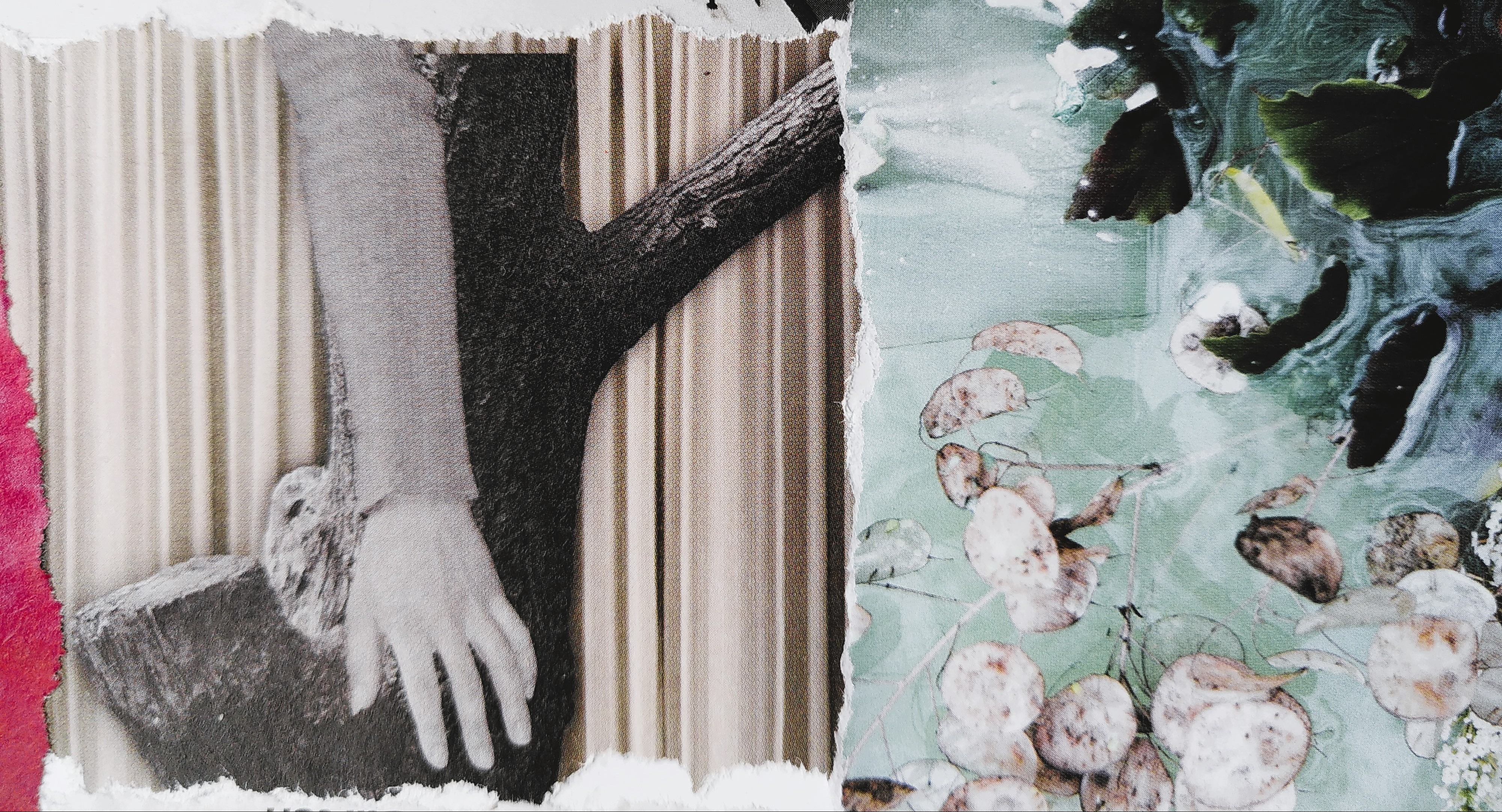 authentische bewegung-v1