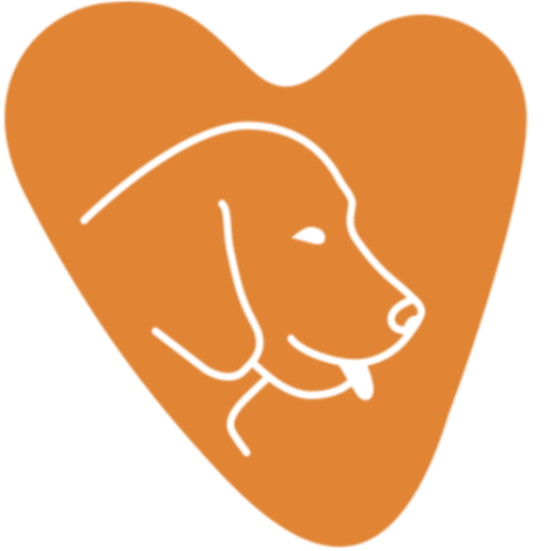 01K88ADTRMWJ4XFWPV9RJJYKNK-v1