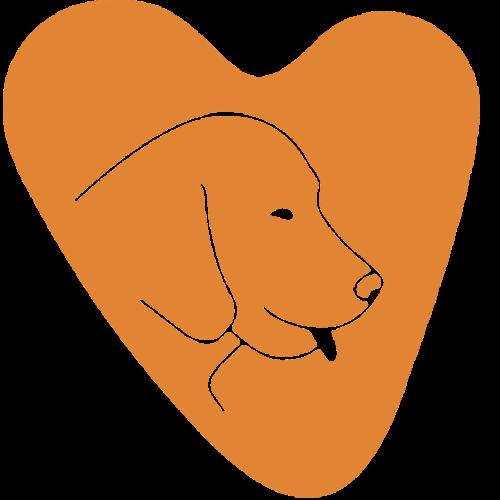 01K88ADTRMWJ4XFWPV9RJJYKNK-v1