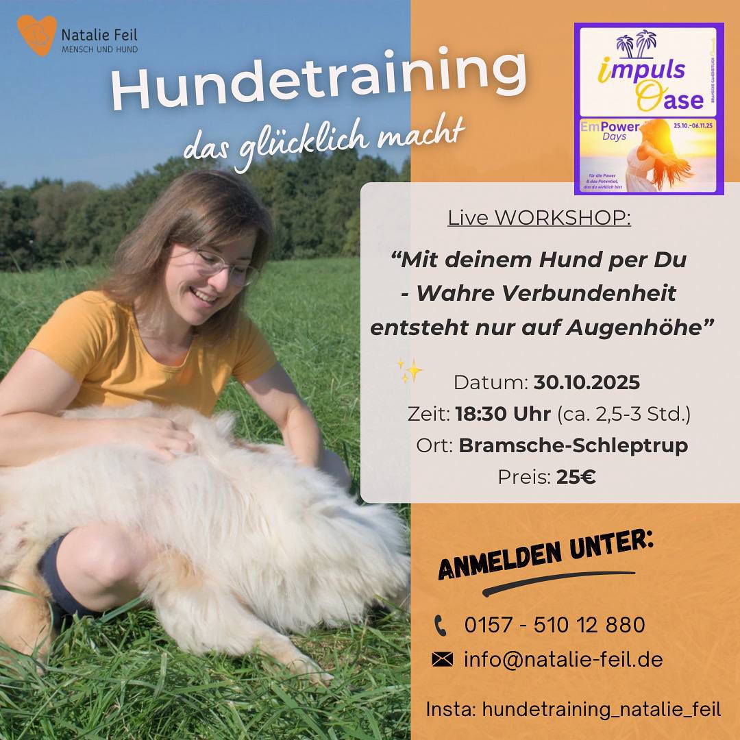 WhatsApp Image 2025-10-28 at 22.47.28