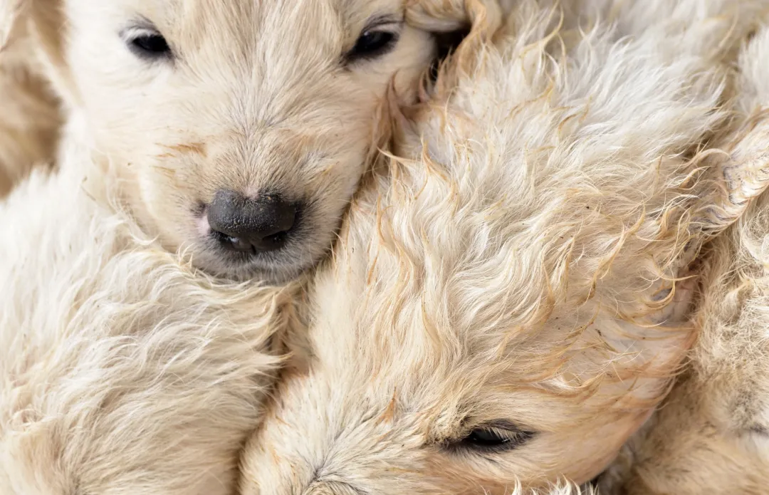 Kuschel Workshop und Kuschel Jam zum Thema: Gefühle