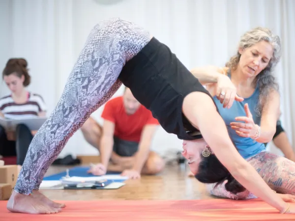 Infoveranstaltung zur Yogalehrer-Ausbildung 200h+