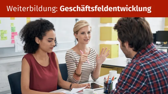 Kurs: Ist-Analyse - Geschäftsfeldentwicklung - Kosten Finanzierung Fördermittel für Soloselbstständige