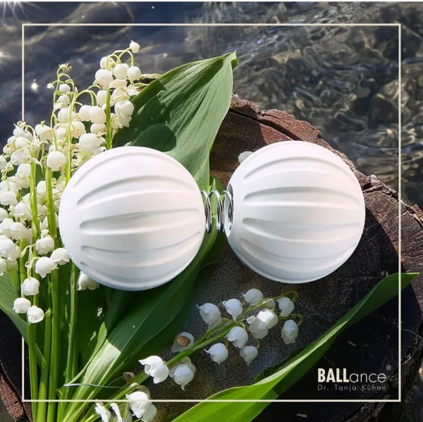 Block 1 : Ballance Methode und TRE