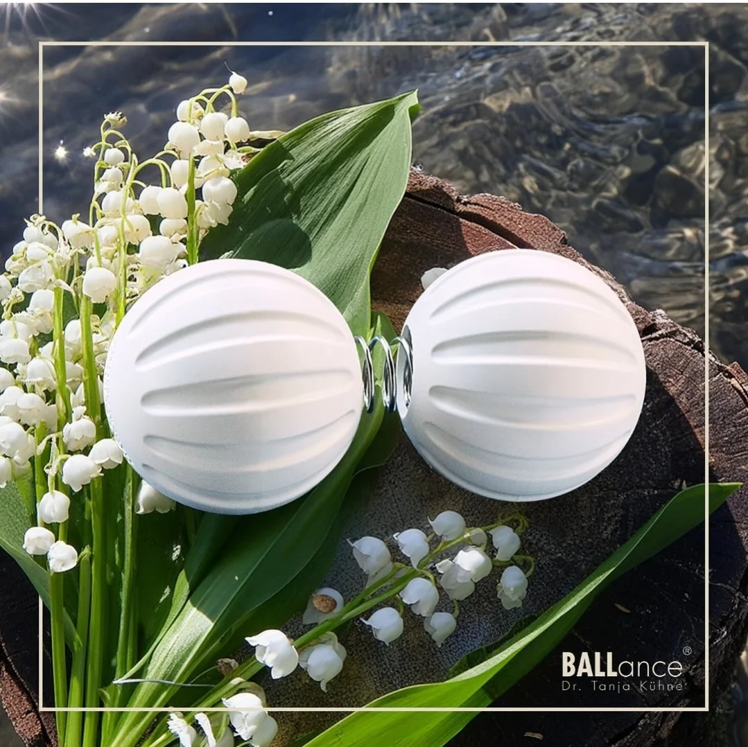 Block 1 : Ballance Methode und TRE