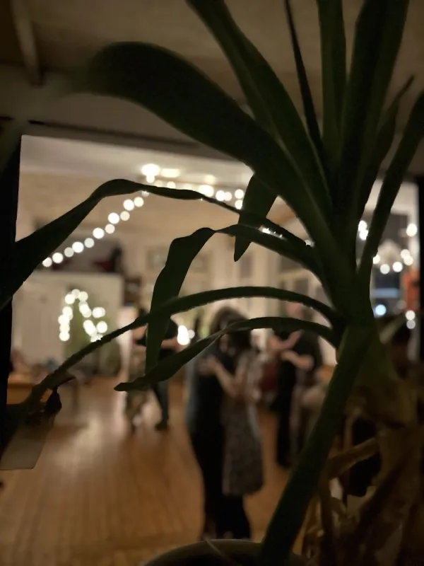 blues & fusion dance