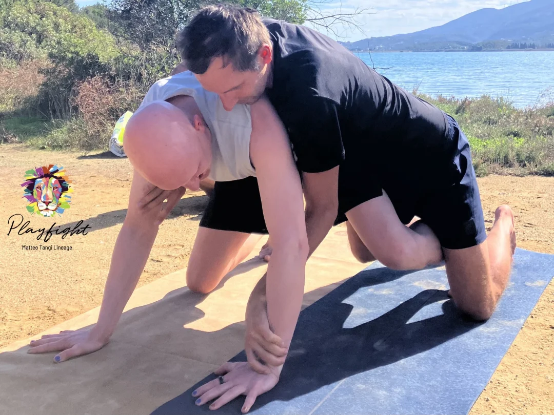 Sail & Playfight: Move and Connect